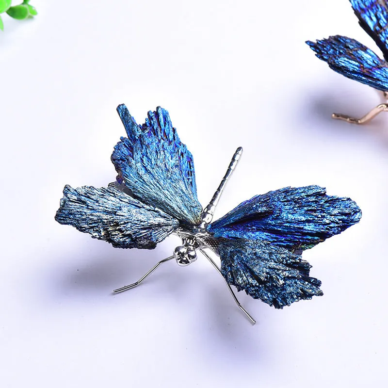 Aura Tourmaline Kyanite Dragonfly