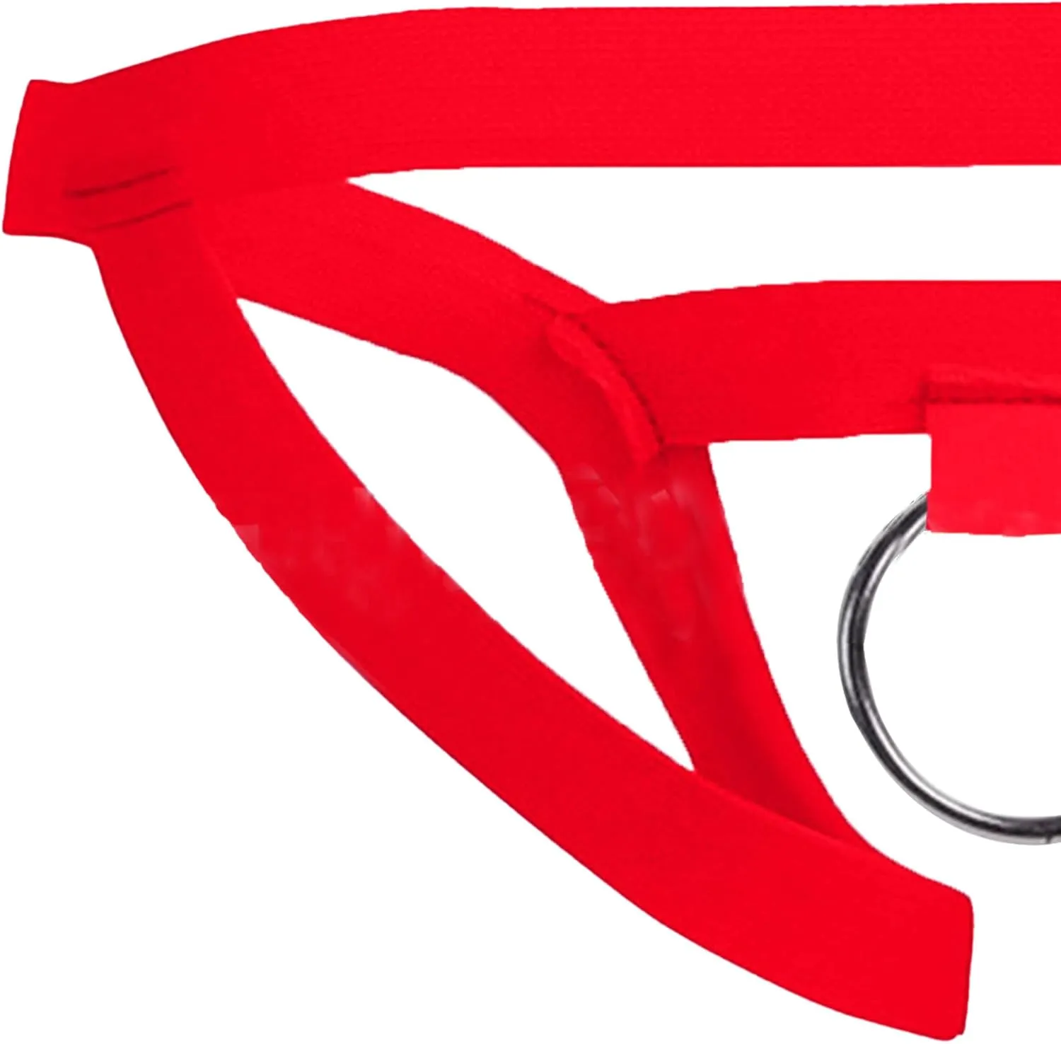 Maiyifu-GJ Men's G-String Open Crotch O-Ring Thong Sexy Perspective Underwear Support Naughty Lingerie Bikini Briefs