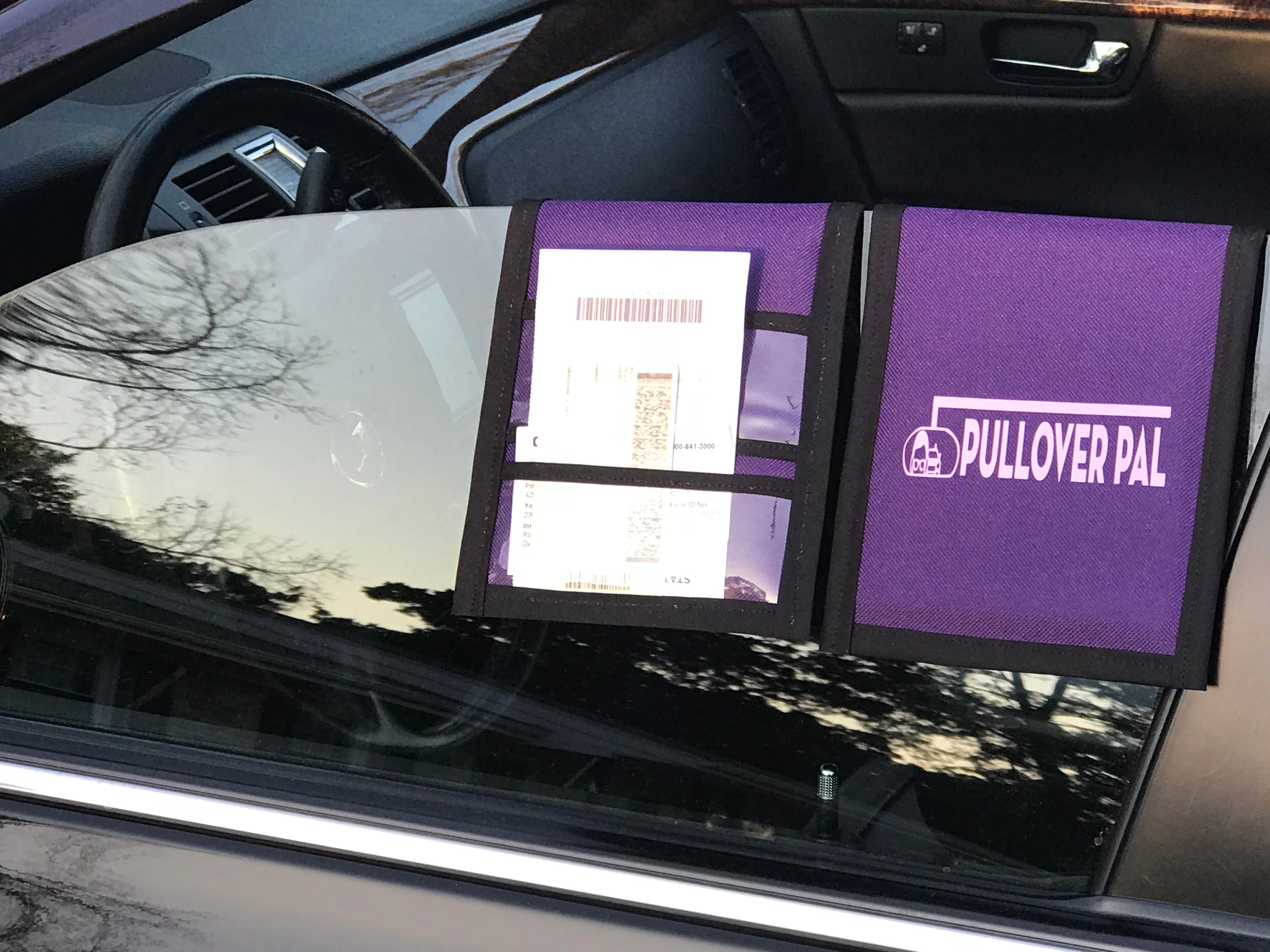 Pullover Pal Organizer - Purple and Black