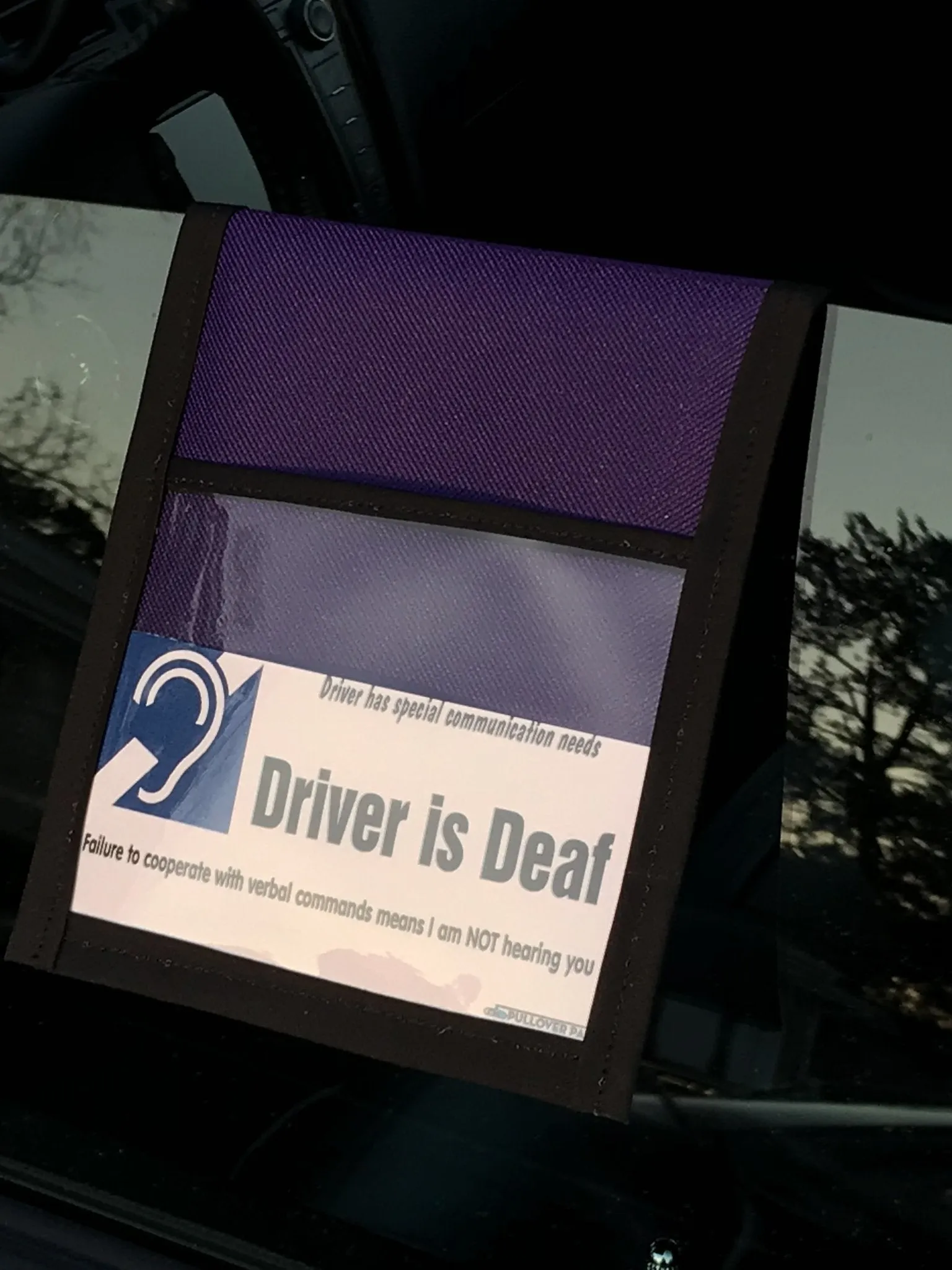 Pullover Pal Organizer - Purple and Black